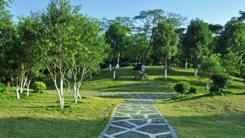 羽毛球世锦赛是什么级别的比赛？赛制、参赛资格与观赛要点