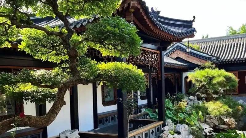 CBA季后赛对阵怎么产生?从常规赛排名到总决赛的完整路径